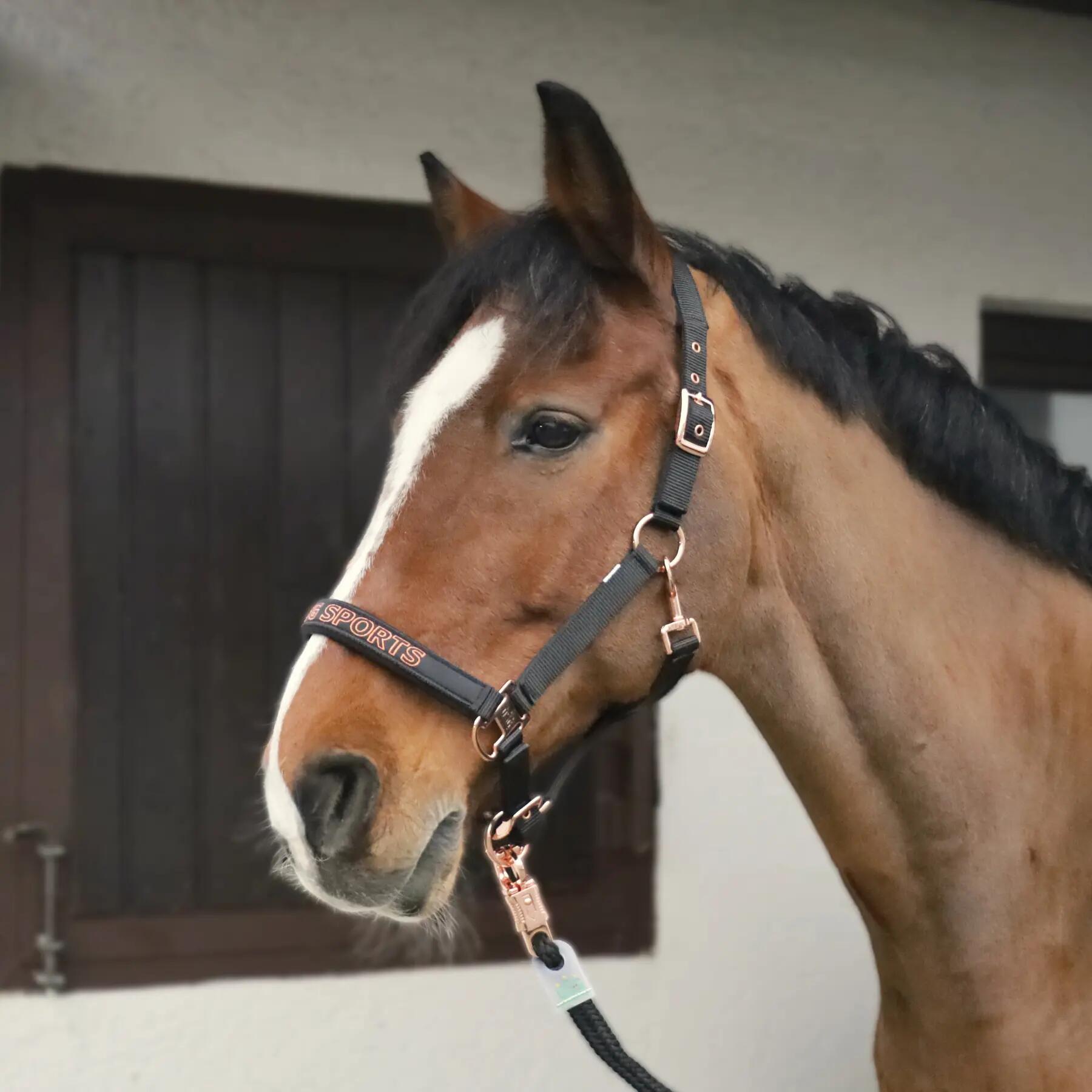 Halster voor paarden USG Sports 2/2