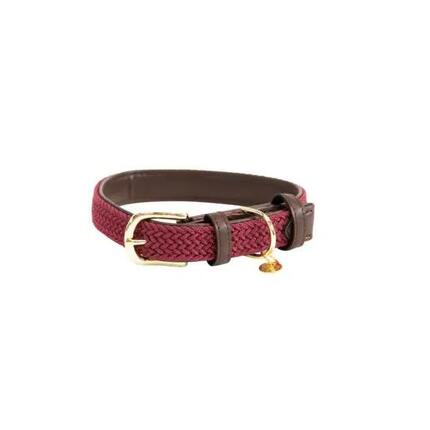 Collier pour chien en Nylon tressé - Kentucky