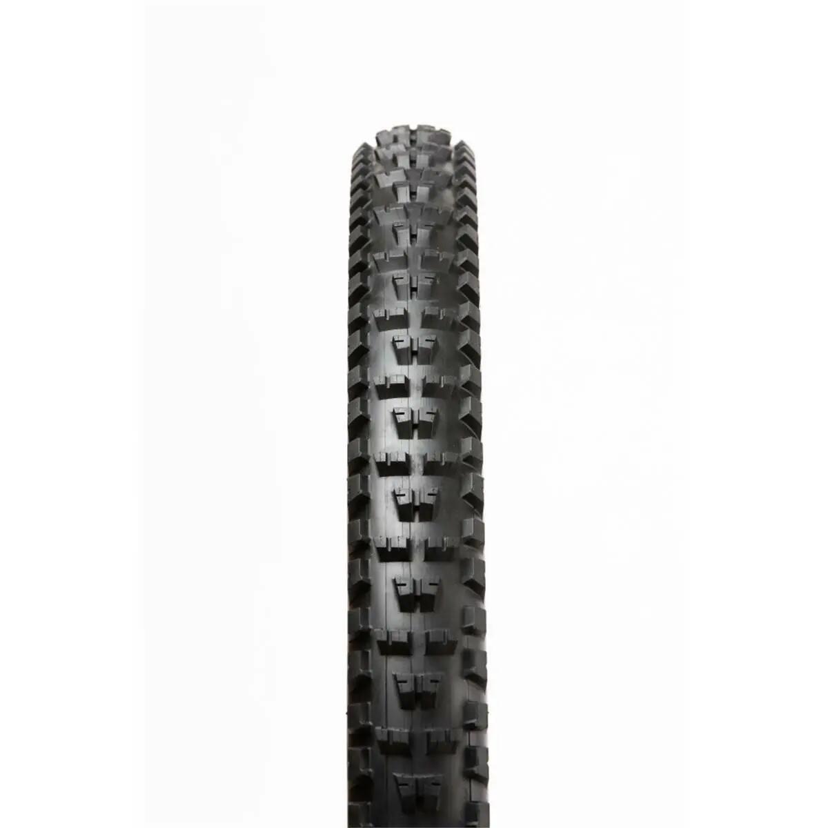 PANARACER picture