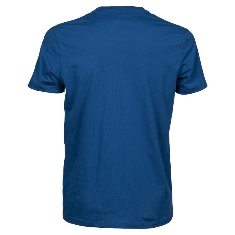 Camiseta de los hombres ARENA M T-SHIRT TEAM ICONS