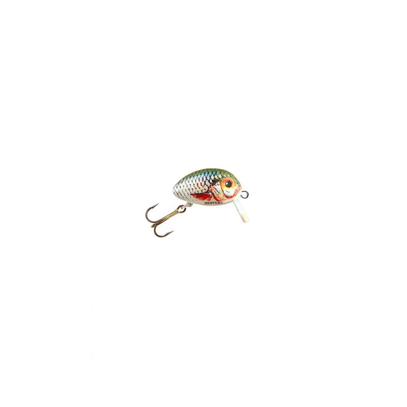 a99370a5-7edc-4812-b76e-fa352e283ac4_novar