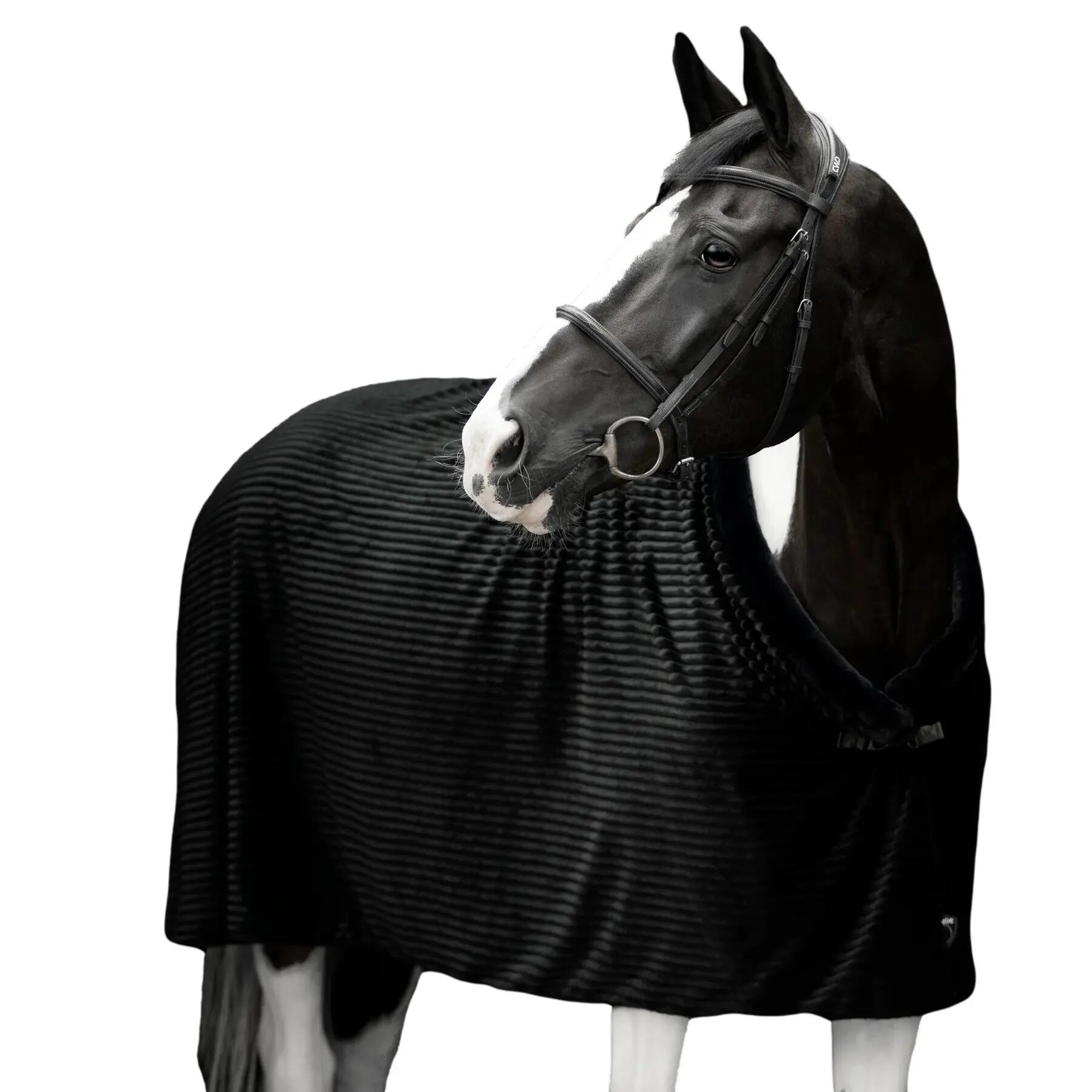 ESTRELLE EQUESTRIAN picture
