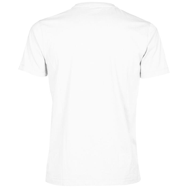 Koszulka męska Arena T-Shirt Team Icons
