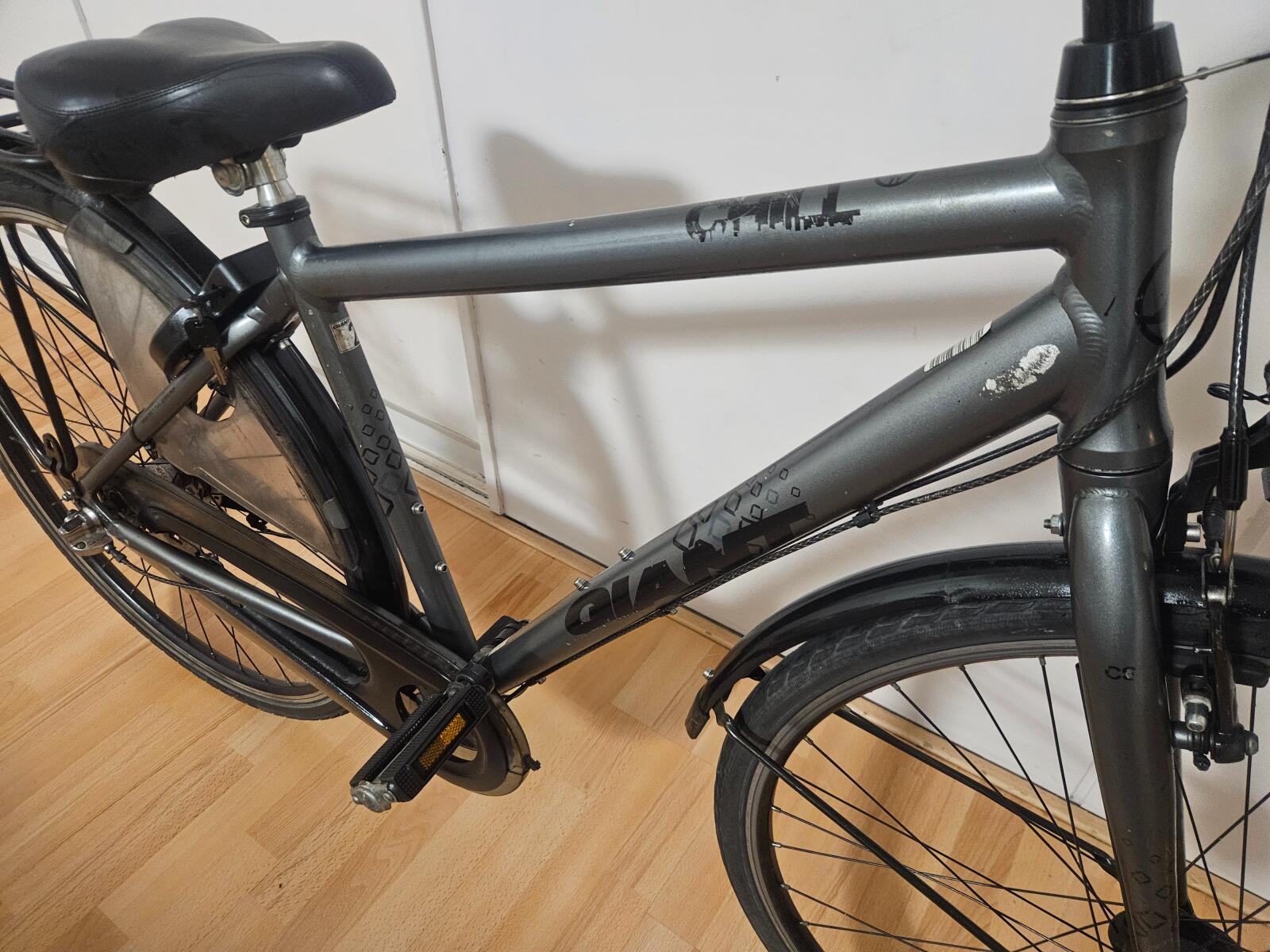 Giant Jongensfiets, metal/grijs 5/6