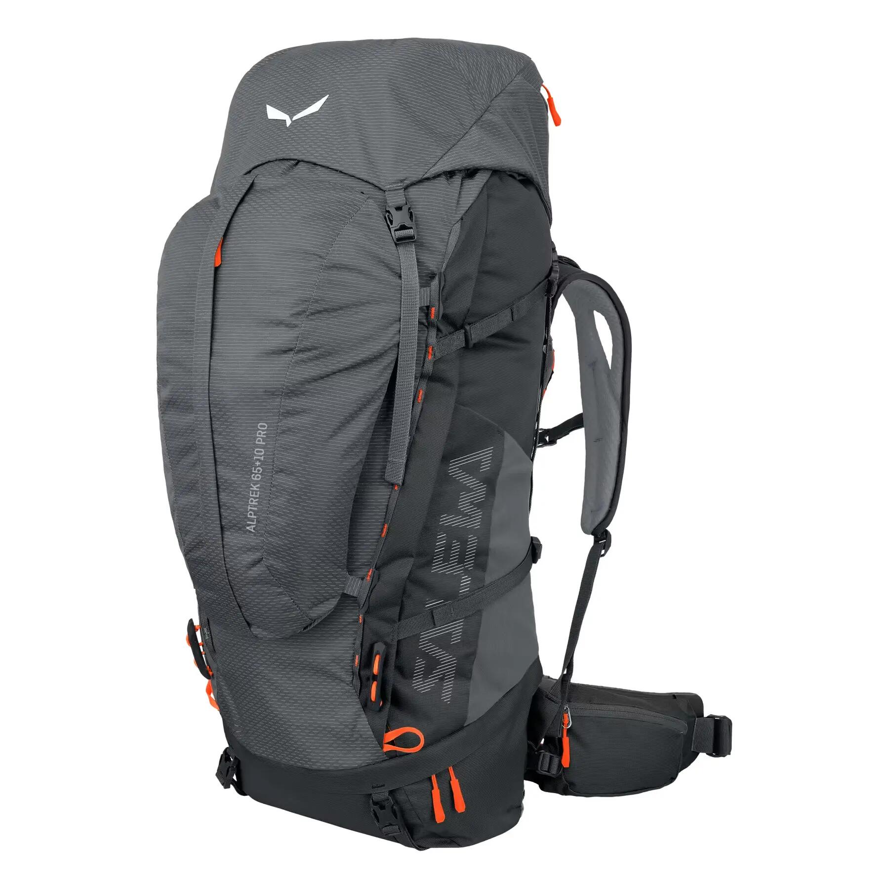 SALEWA picture