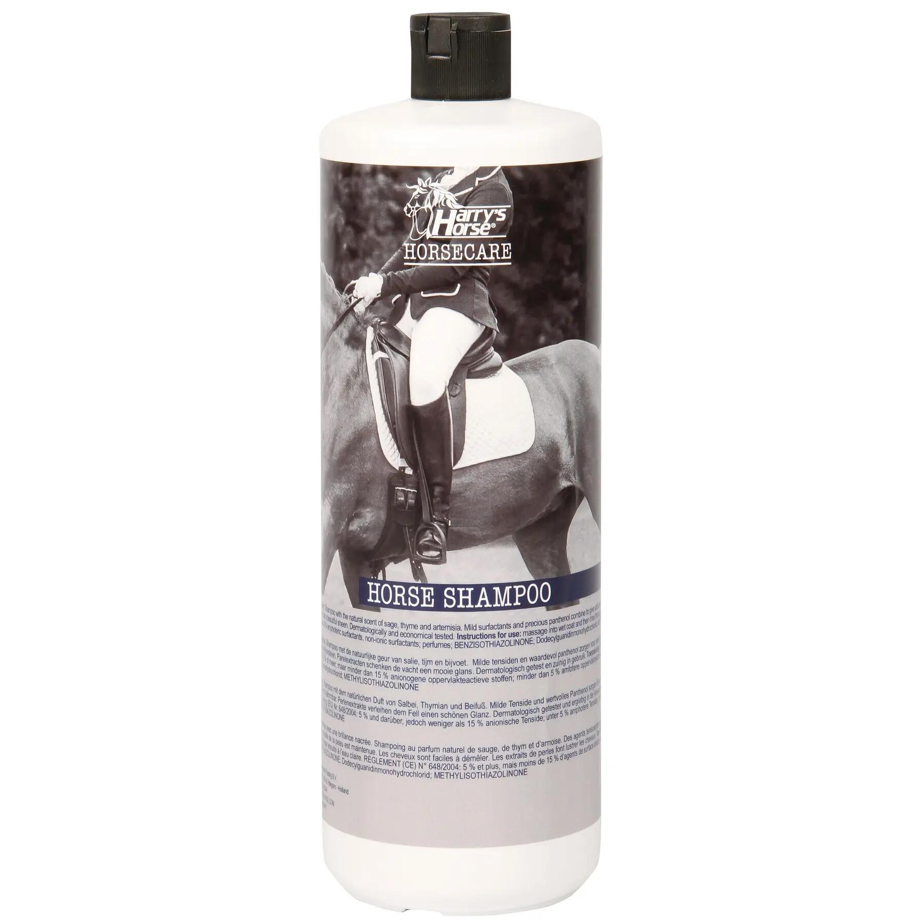 HARRYS HORSE picture