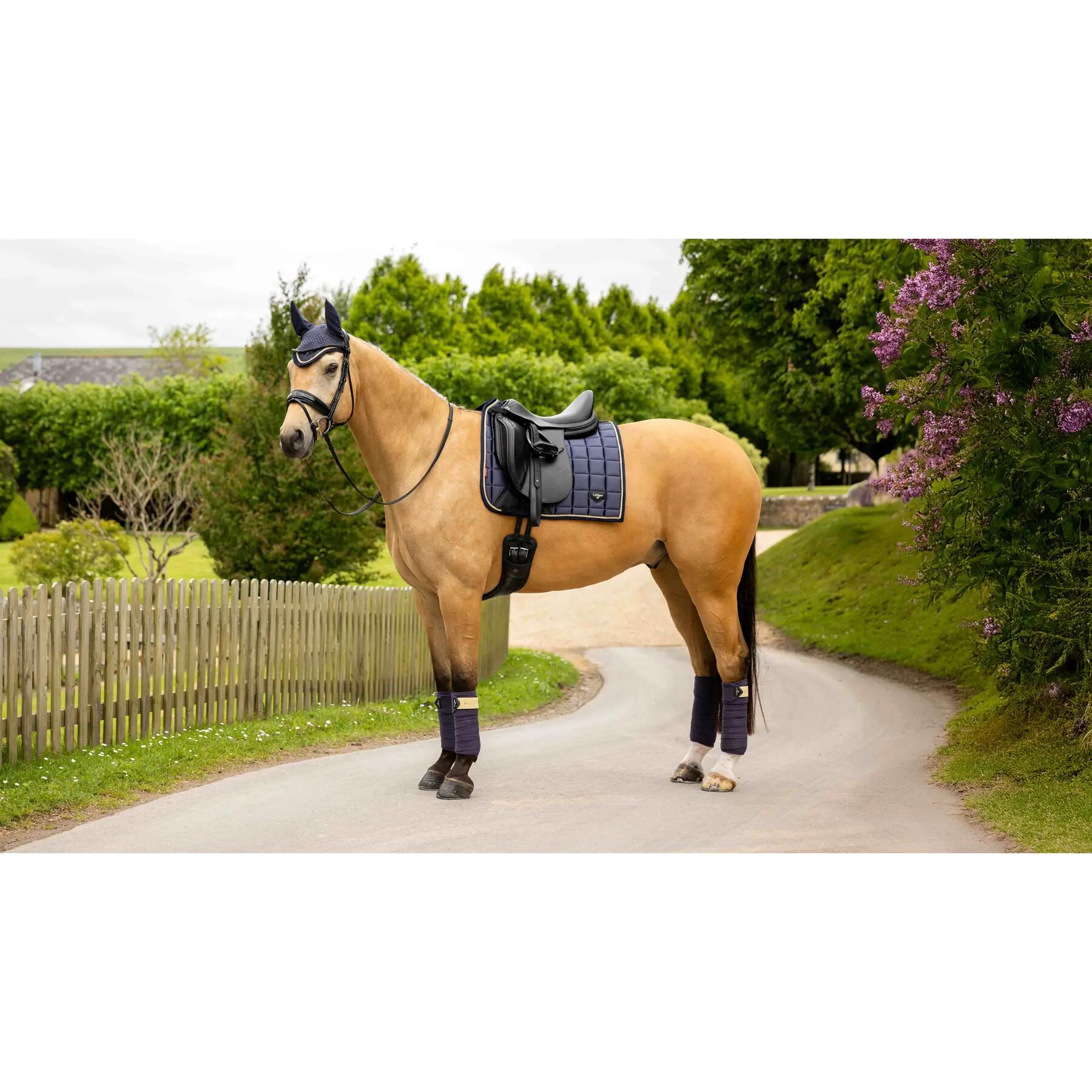 Dressuurmat voor paarden LeMieux Loire Classic 2/4