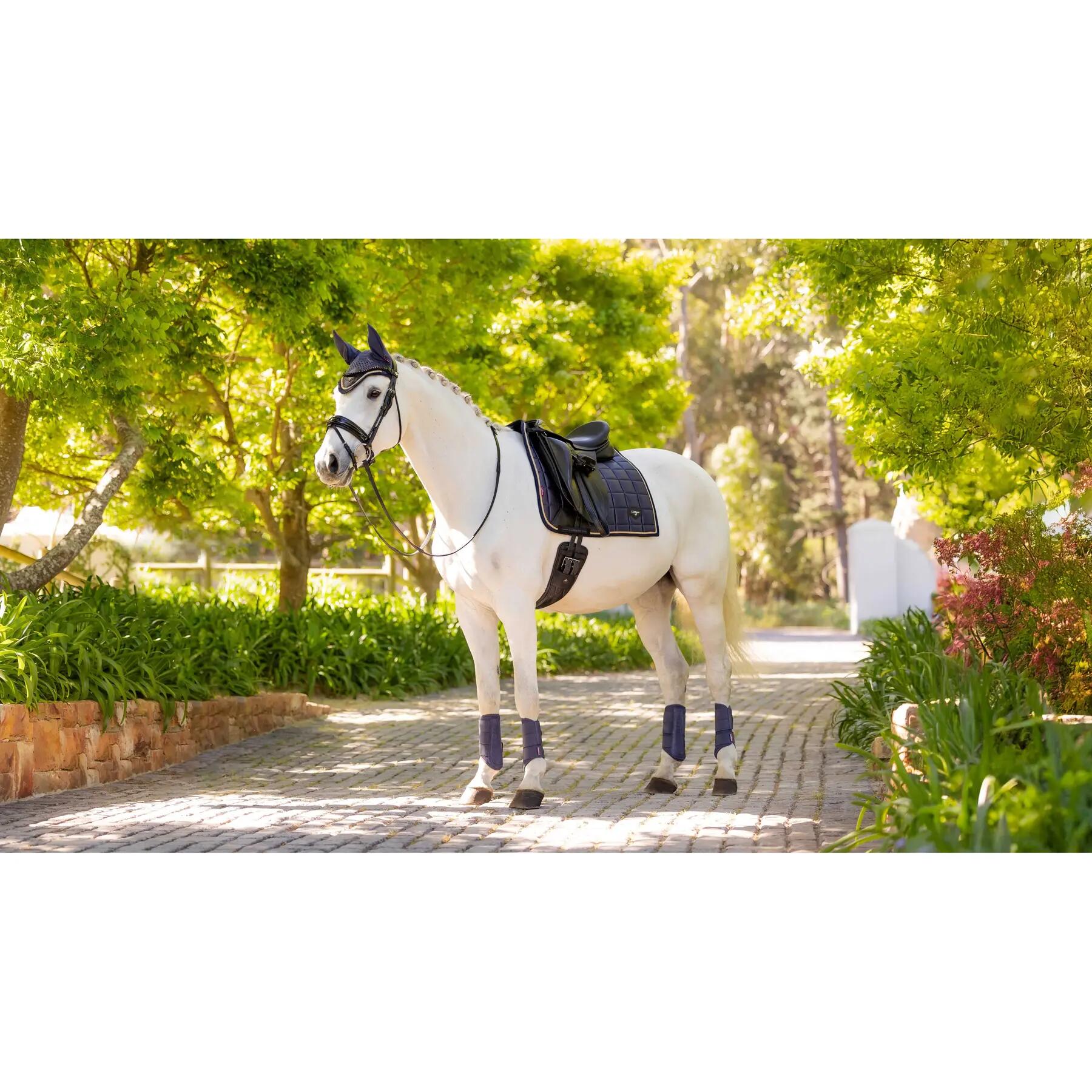 Dressuurmat voor paarden LeMieux Loire Classic 4/4