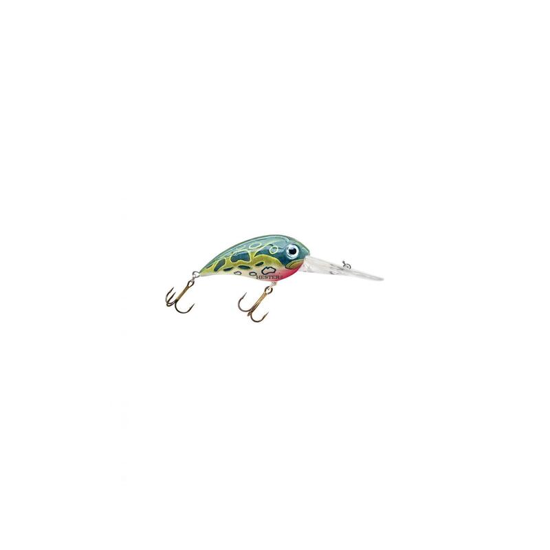 b0d32f1d-3818-413d-ad9f-7a5260c52ce7_novar