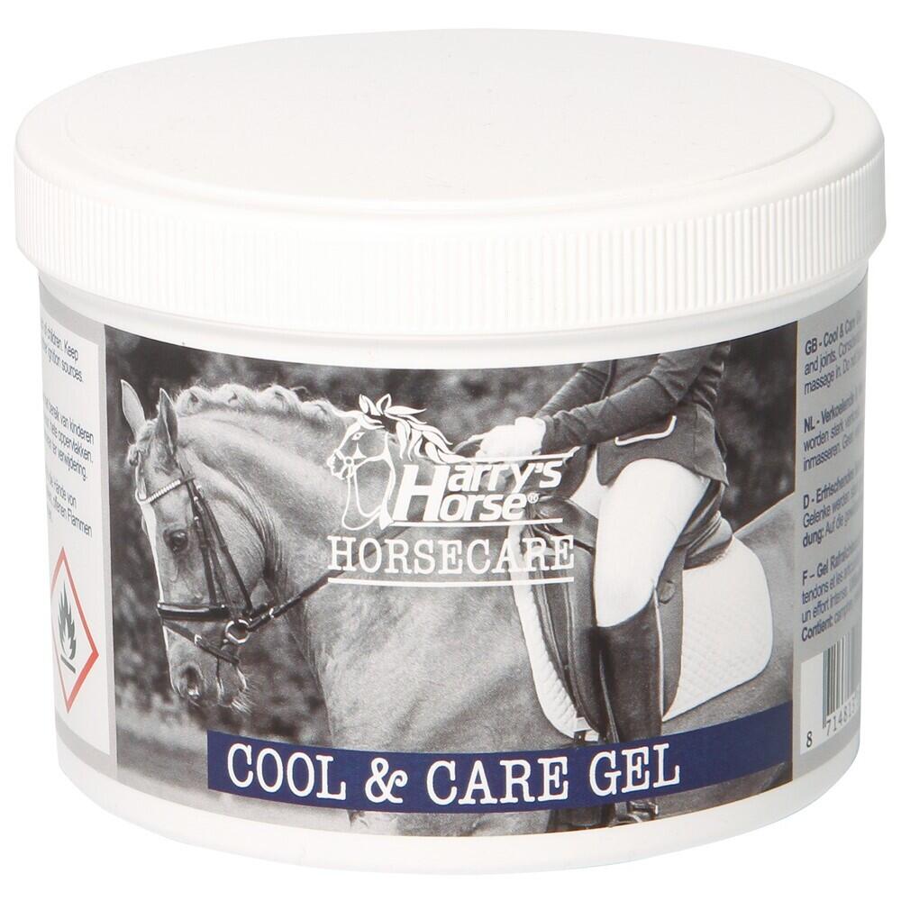 HARRYS HORSE picture