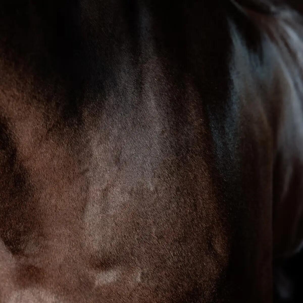 Shining gel for horses Grooming Deluxe 6/6