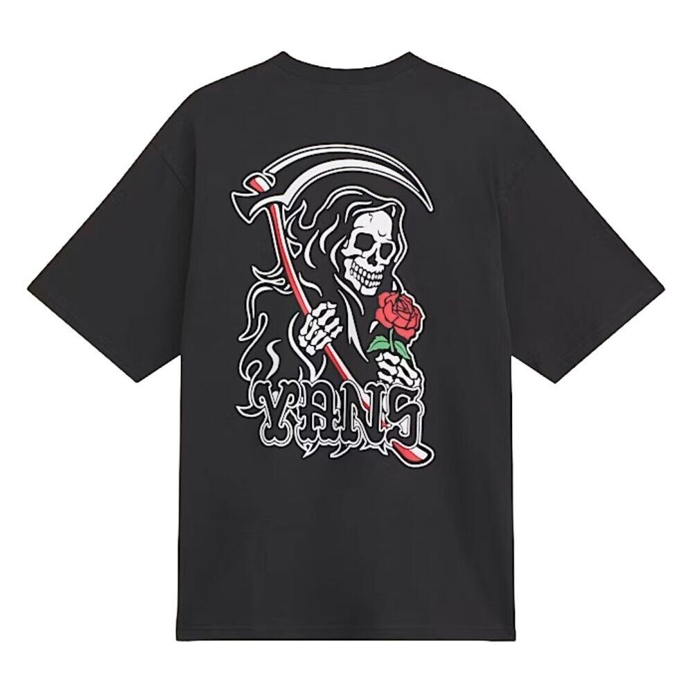 VANS picture