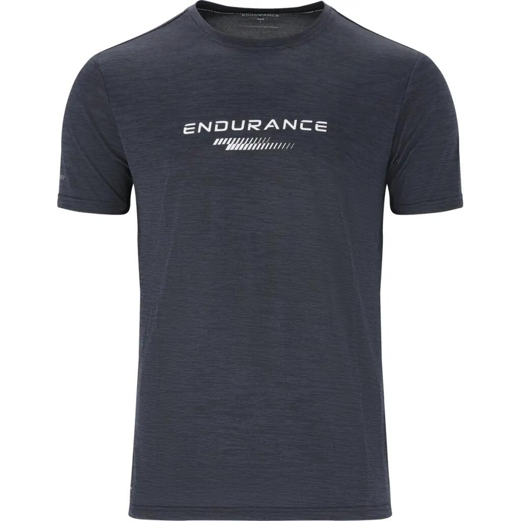 ENDURANCE picture