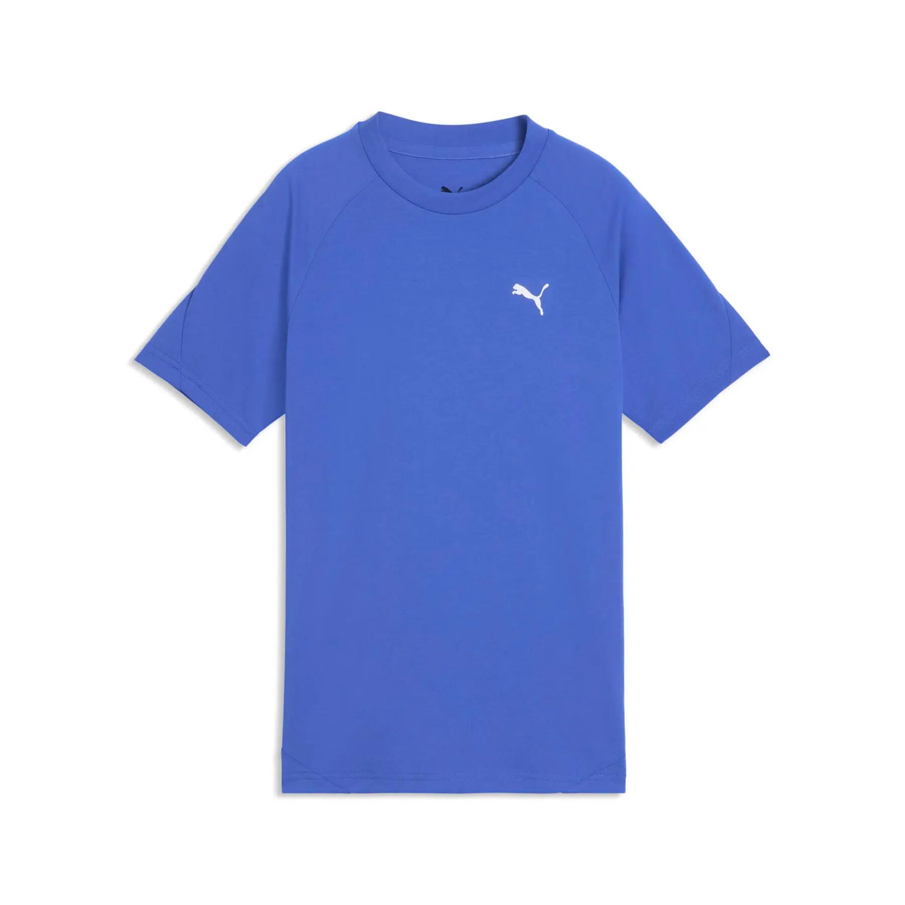 PUMA picture