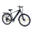 Bicicletă electrică pentru adulți TTGO M300 250W 36V 20Ah baterie
