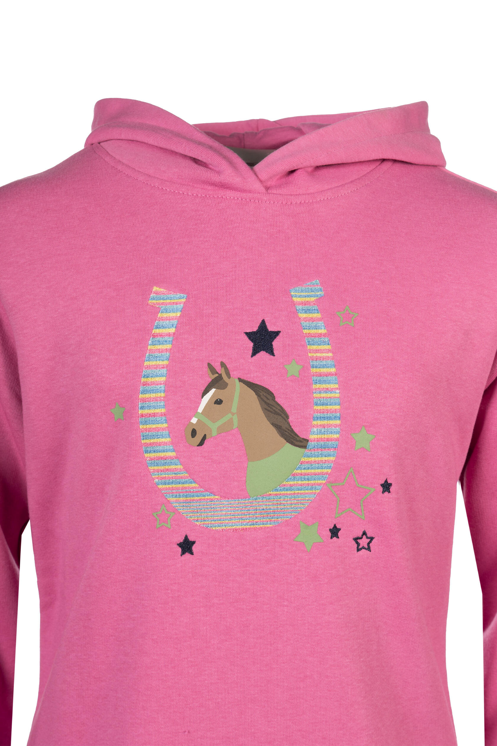 SWEAT À CAPUCHE JUNIOR  DIANA ROSE 6/7