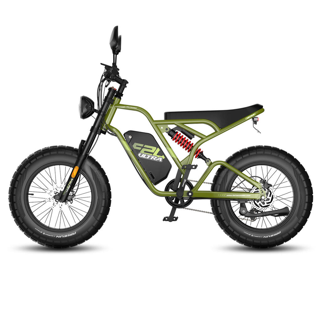 Fafrees F20 ULTRA L1e-B Certificated Electric Bicycle, 48V/25AH Battery