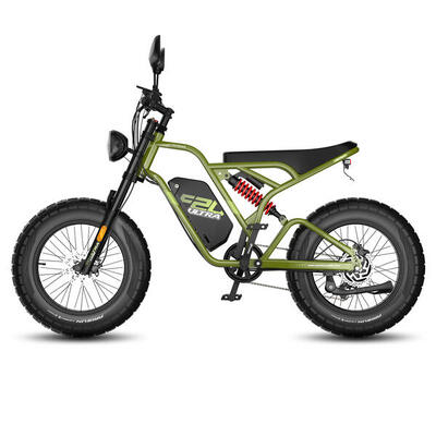 Bicicletta elettrica Fafrees F20 ULTRA con L1e-B e batteria da 48V/25AH