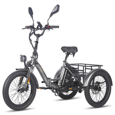 F20 Mate 21Ah Certified Triciclo elettrico certificato 48V pneumatico 20 pollic
