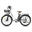 Bicicletă electrică Fafrees F26Lasting, baterie de 36V 25Ah