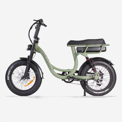 Elektrisches Fatbike City 500W 20″ 48V MOOI