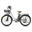 Bicicletă electrică Fafrees F26Lasting, baterie de 36V 25Ah