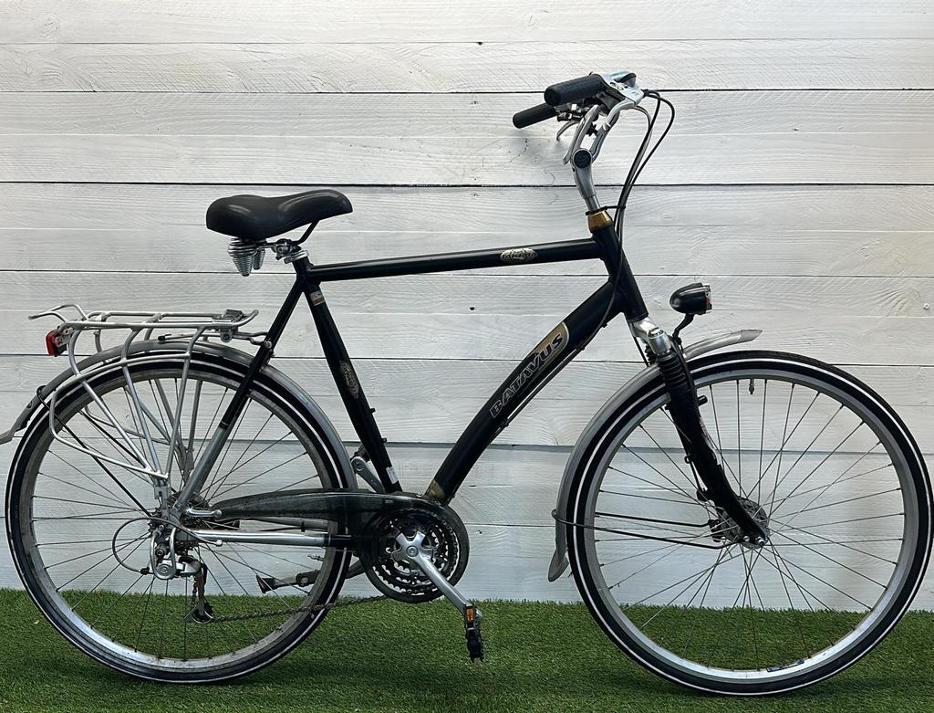 BATAVUS picture