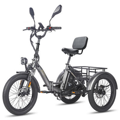 FAFREES F20 Mate 2345Ah Certified Triciclo elettrico certificato 48V 20