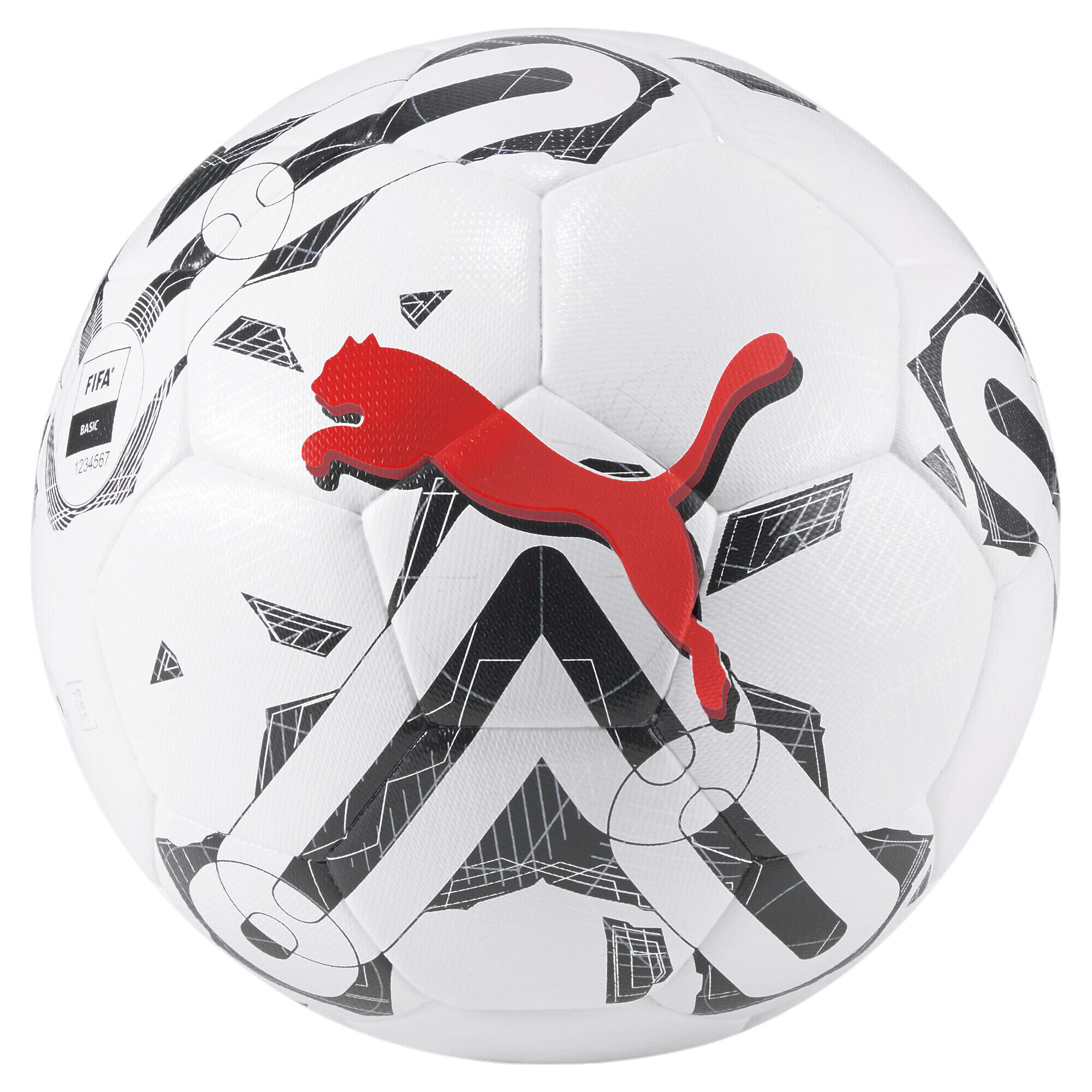 PUMA picture