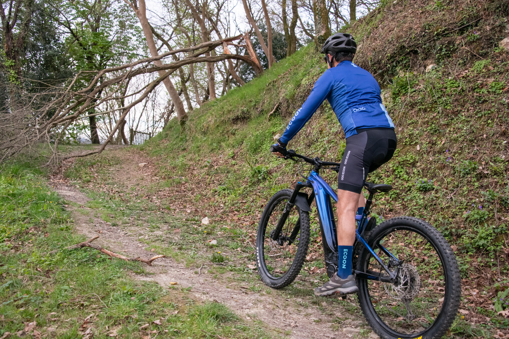 Chaussettes de cyclisme ECOON modèle Lzoard couleur bleu 4/7