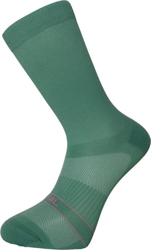 RAFALSOCKS picture