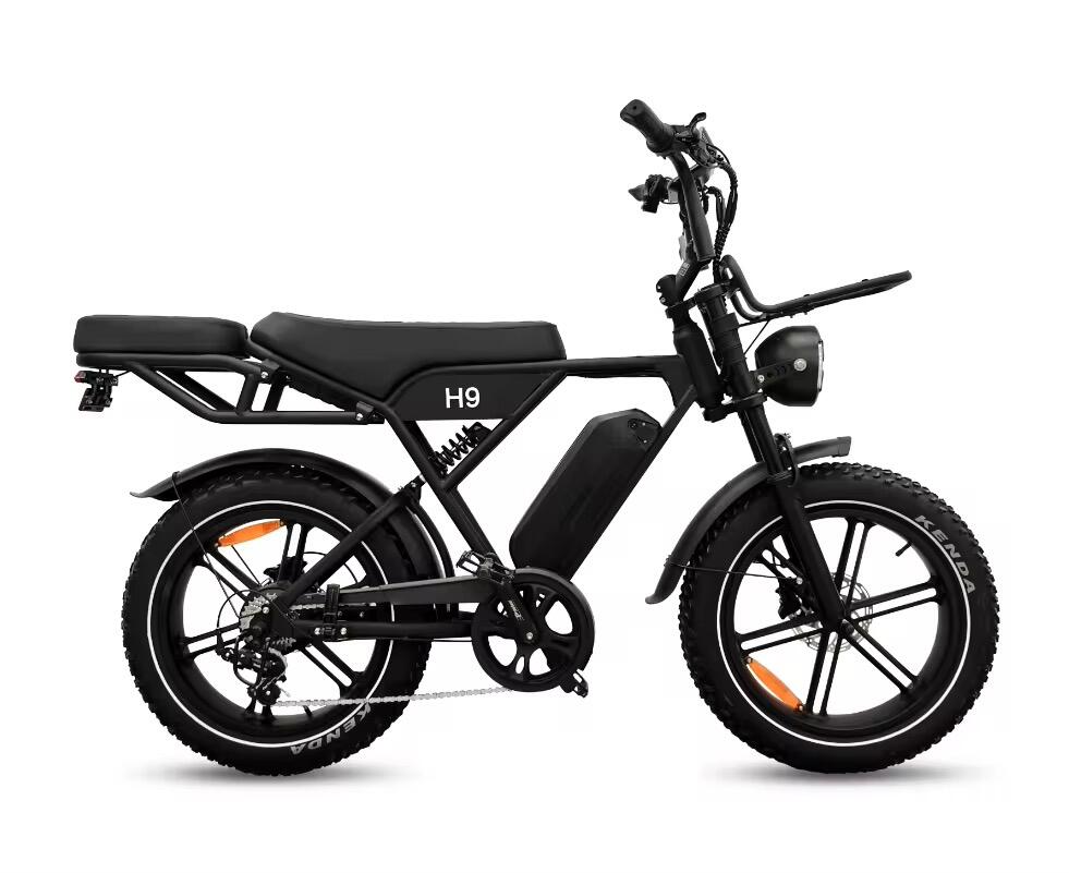 H9 6.0 Fatbike, E-bike, 250Watt motorvermogen, topsnelheid 25 km/u 2/7