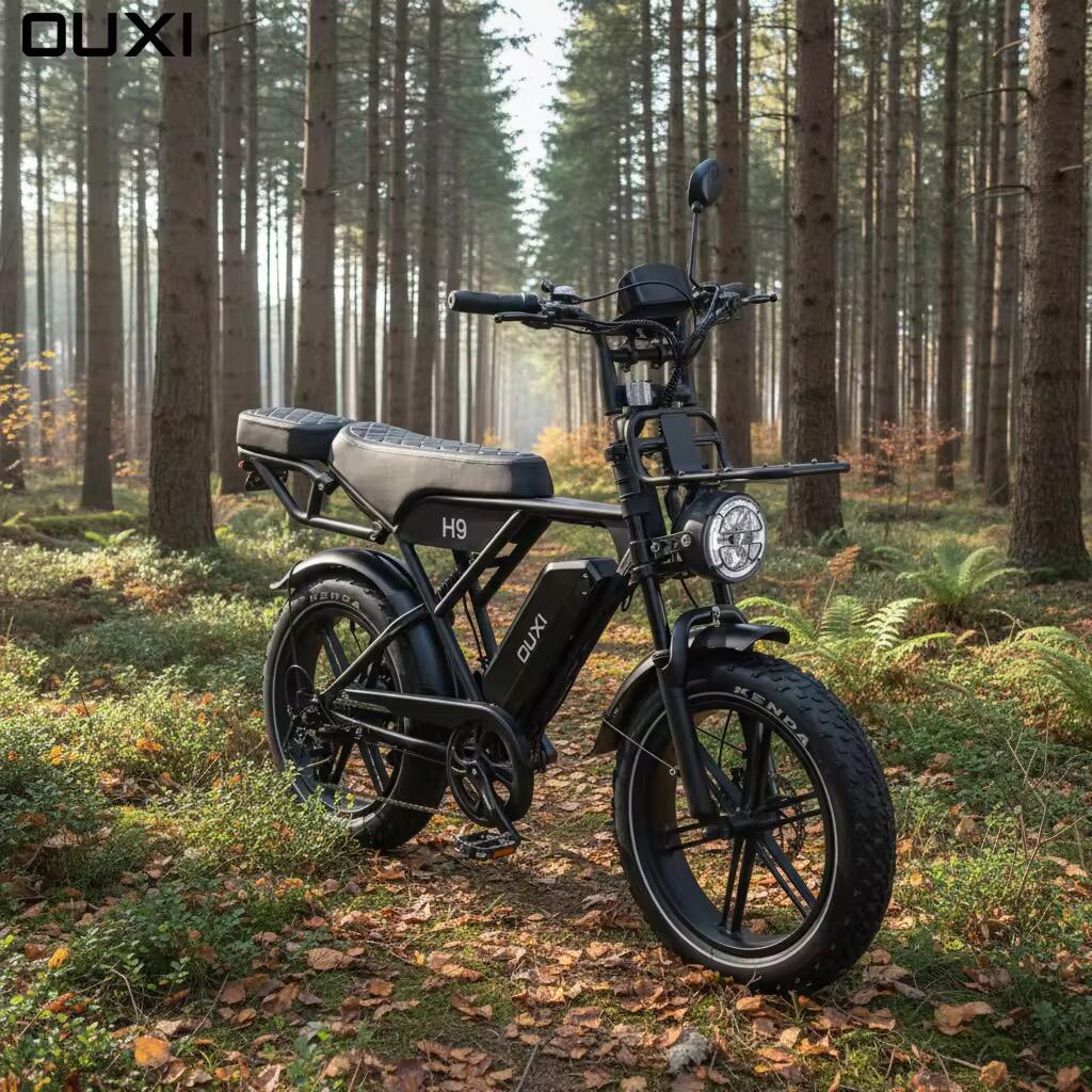 H9 6.0 Fatbike, E-bike, 250Watt motorvermogen, topsnelheid 25 km/u 7/7