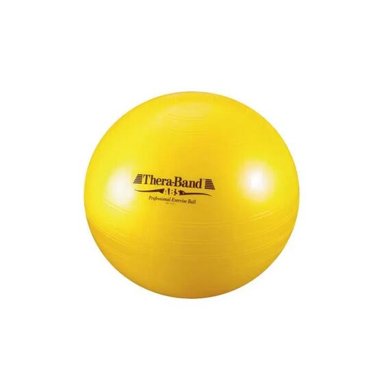 Ballon de Gym ABS
