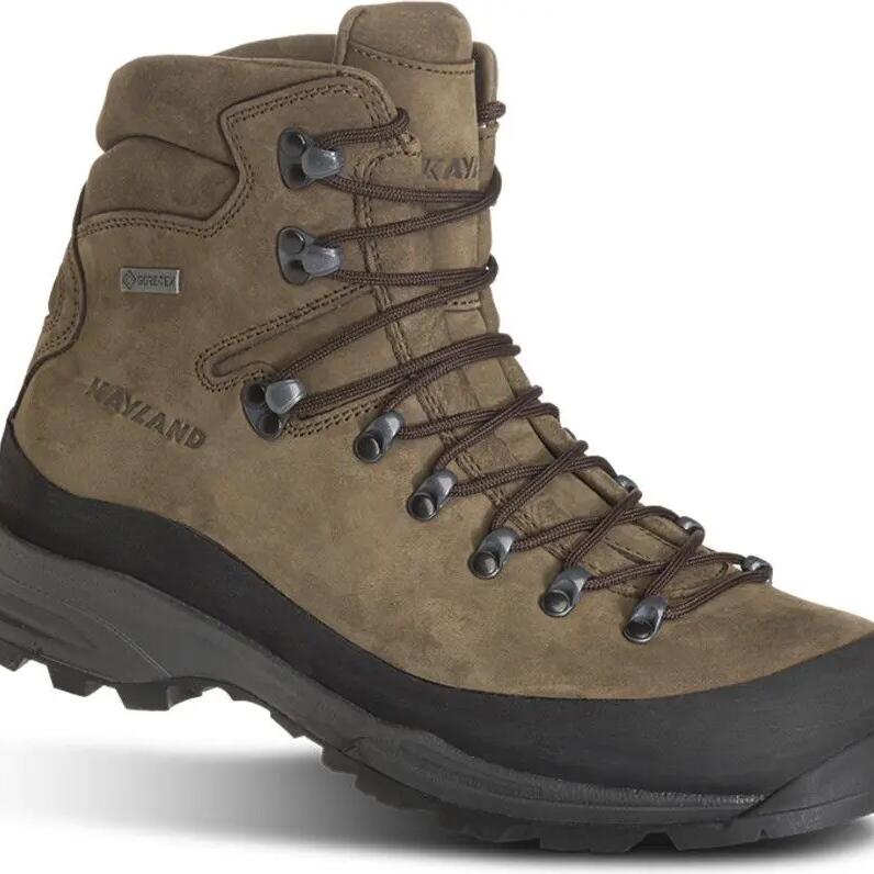 Hiking shoes Kayland Globo GTX