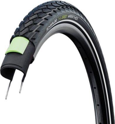 SCHWALBE picture