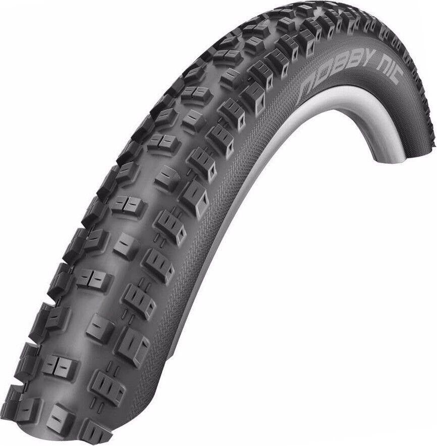 SCHWALBE picture