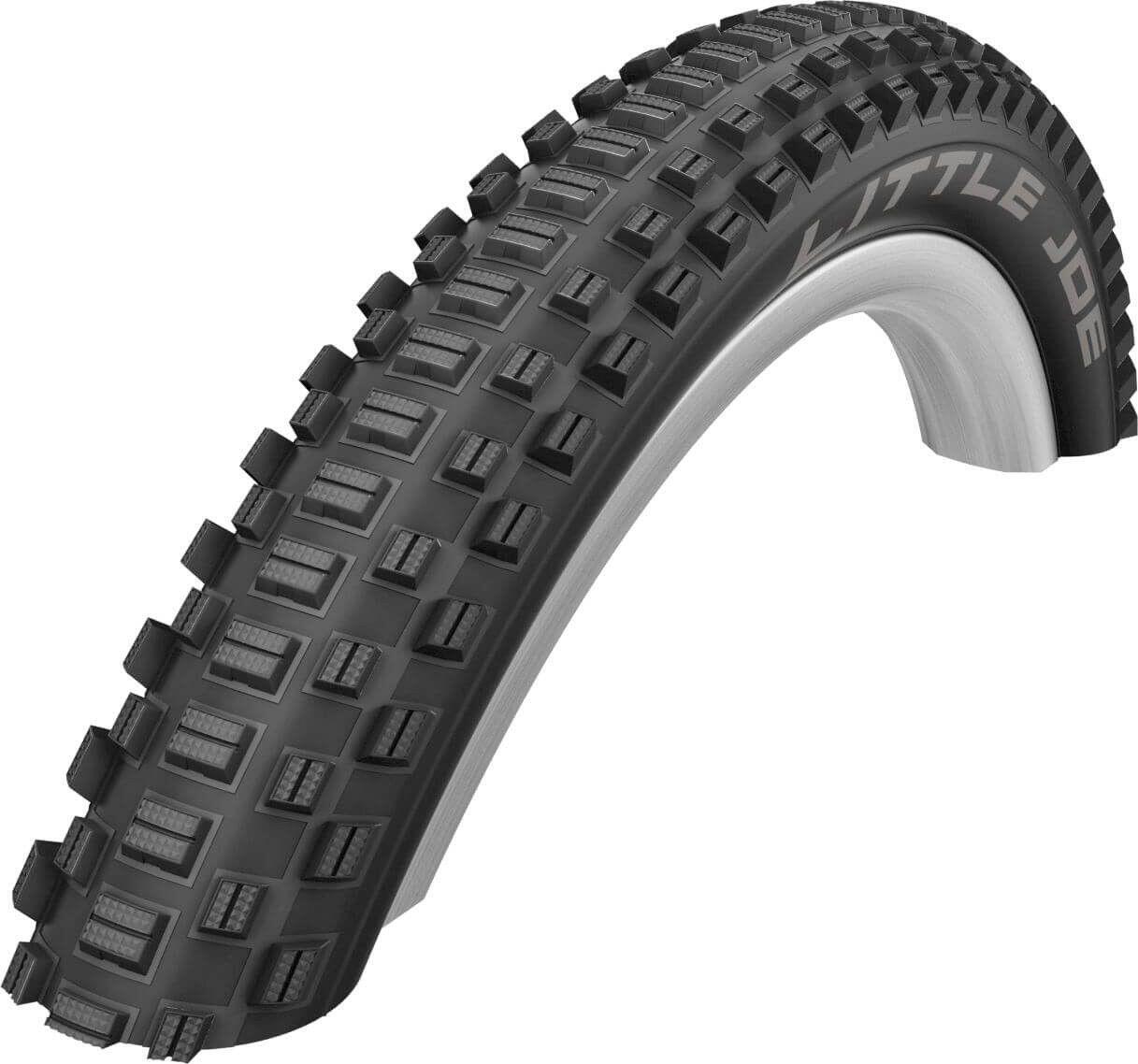 SCHWALBE picture