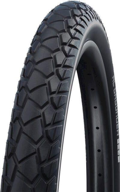 SCHWALBE picture