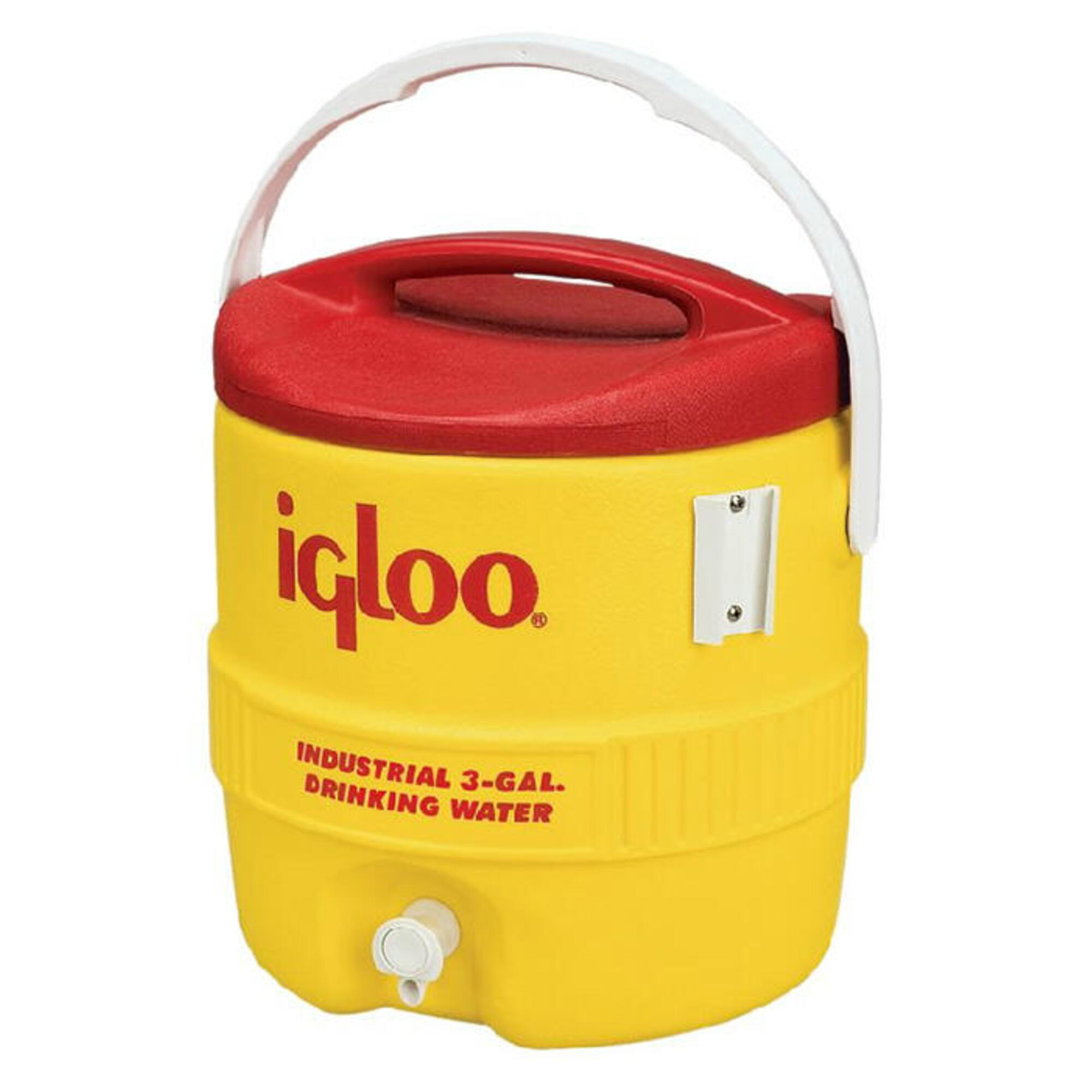 IGLOO picture