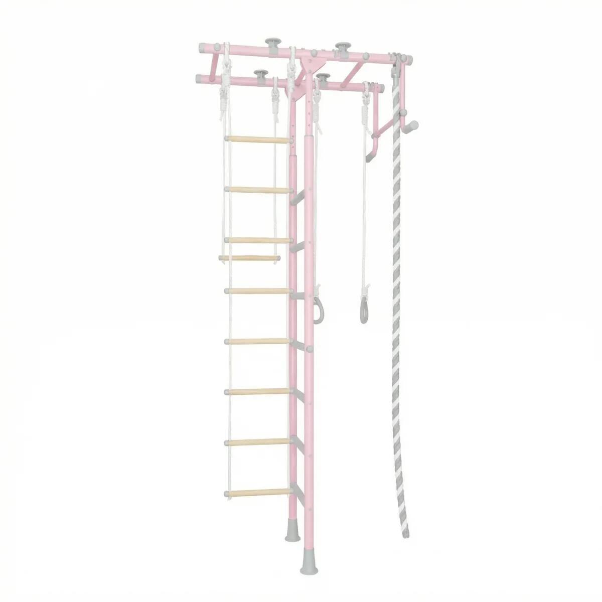 Espalier Jeflex ClimbMaxx M1 rose 5/5
