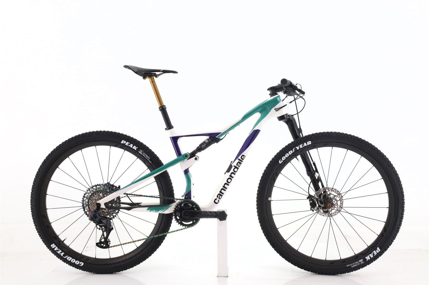 CANNONDALE picture