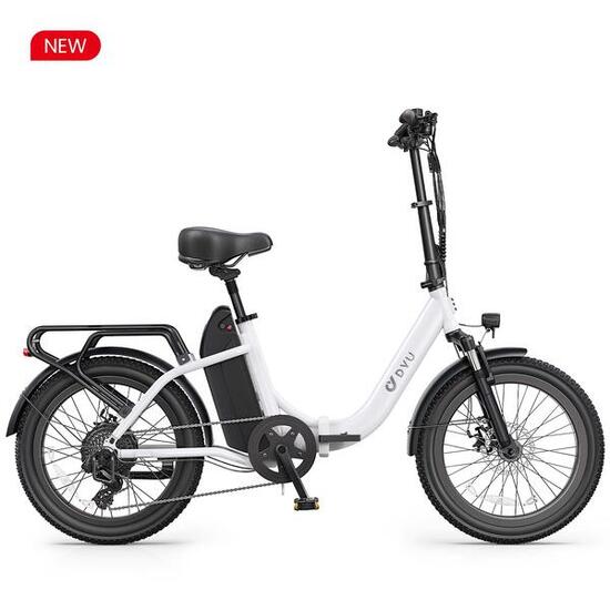 Opvouwbare elektrische fiets DYU C9 met 250W motor en 48V 15,6Ah accu