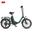 Bicicletă electrică pliabilă DYU C9, motor de 250W, baterie de 48V 15.6Ah