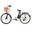 Bicicletă electrică DYU C6, anvelope de 26 de inch, baterie de 36V 12.5Ah
