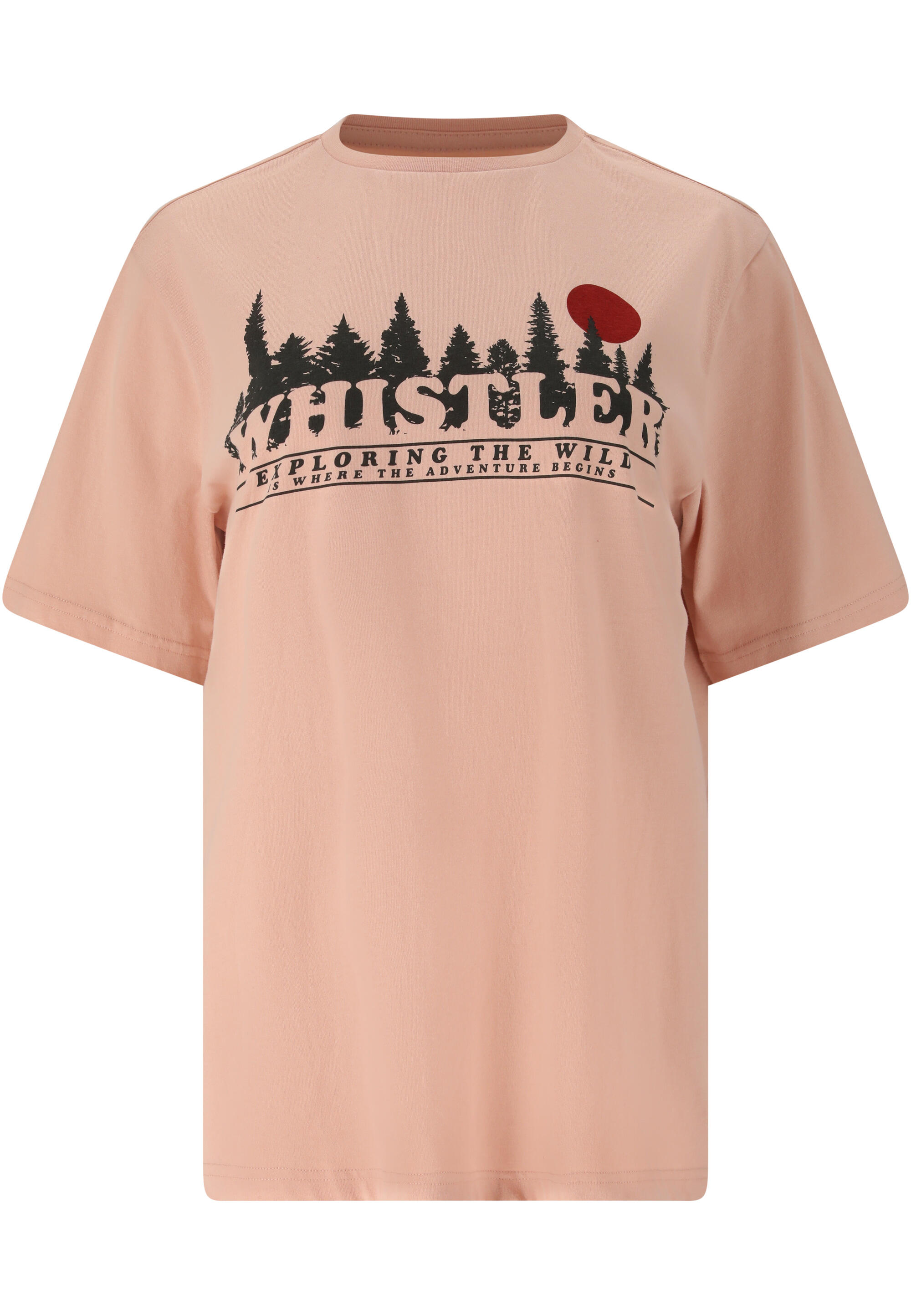WHISTLER picture