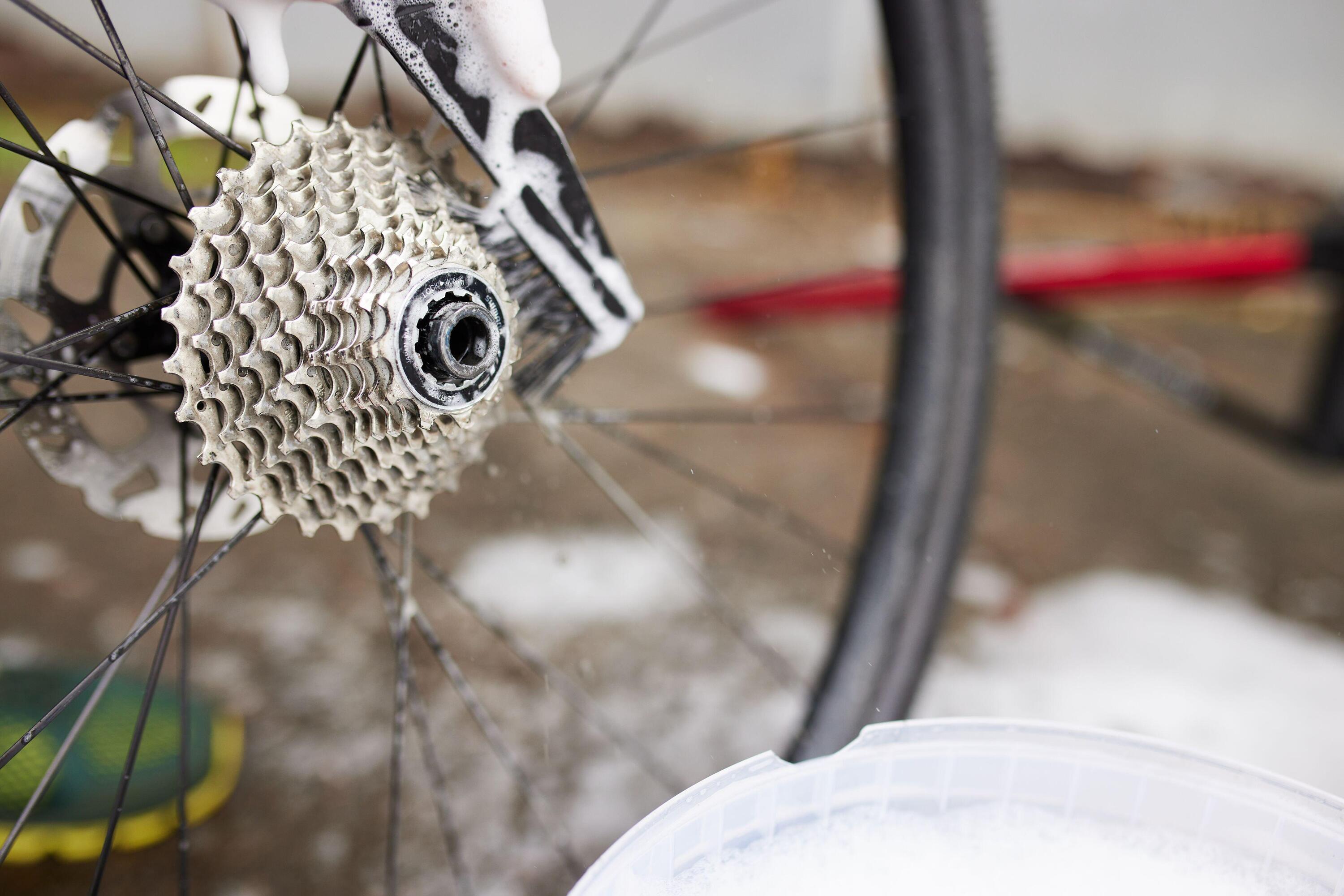 Cyclon Cassette Claw + Detail Brush Chain - Set di pulizia. 3/4