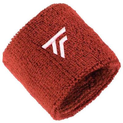 Wristbands tecnifibre x2 glacier