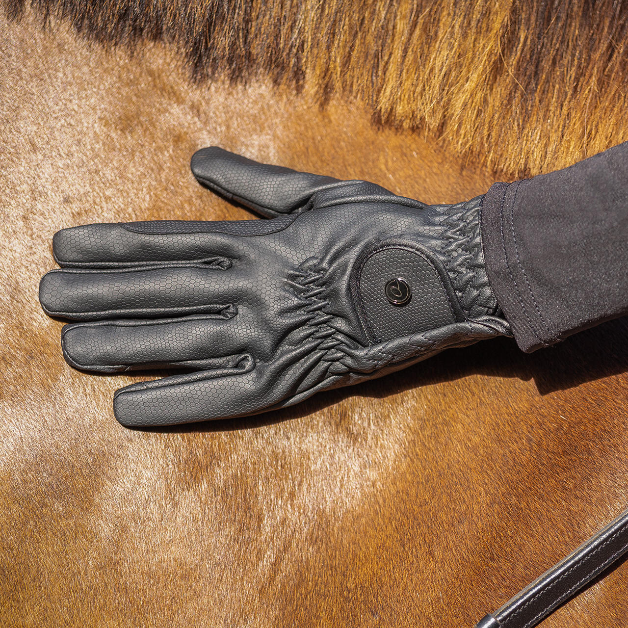 Gants d'équitation d'hiver QHP Force 4/5