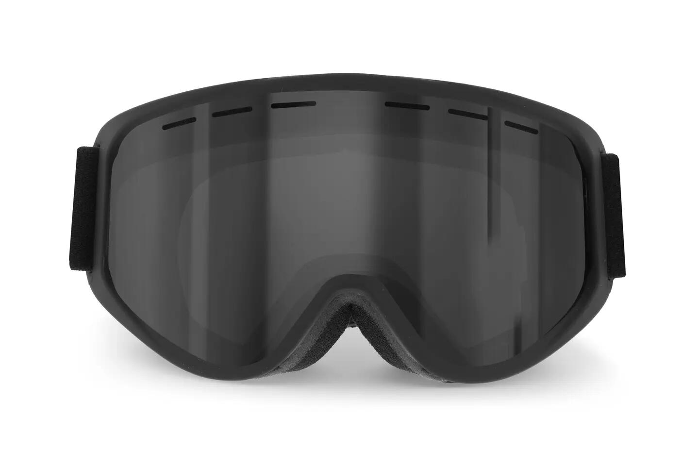 Gafas de esquí ICE 2/2
